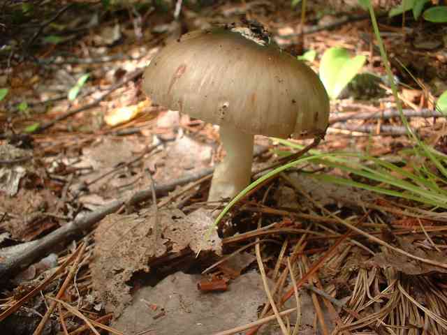 DSCF0001.jpg