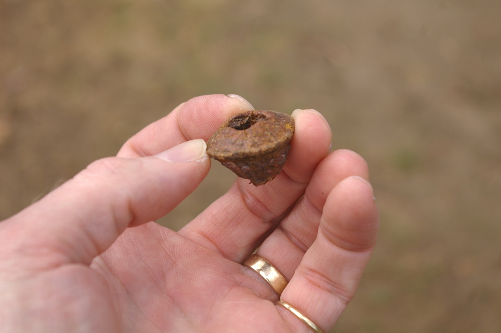 imgp0121.jpg