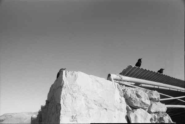 Masada visit centre