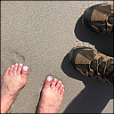 img_1184.jpg