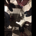 img_4740.jpg