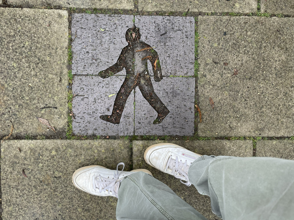 megs_6132.jpg