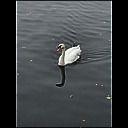 megs_6135.heic