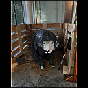 megs_6145.heic