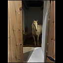 megs_6147.heic