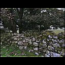 megs_6362.heic