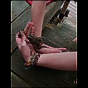 img_5947.jpg