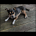 img_6232.jpg