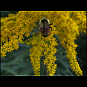 img_7680.heic