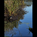 img_7755.heic