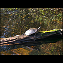 img_7763.heic