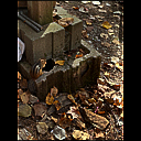 img_7801.heic