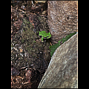 img_6054.heic