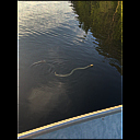 img_6069.heic