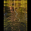 img_6073.heic