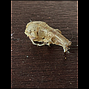 img_8221.heic