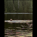img_8550.heic