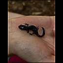 img_8567.heic