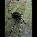 img_9727.heic