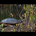 img_9790.heic