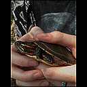 img_9803.heic